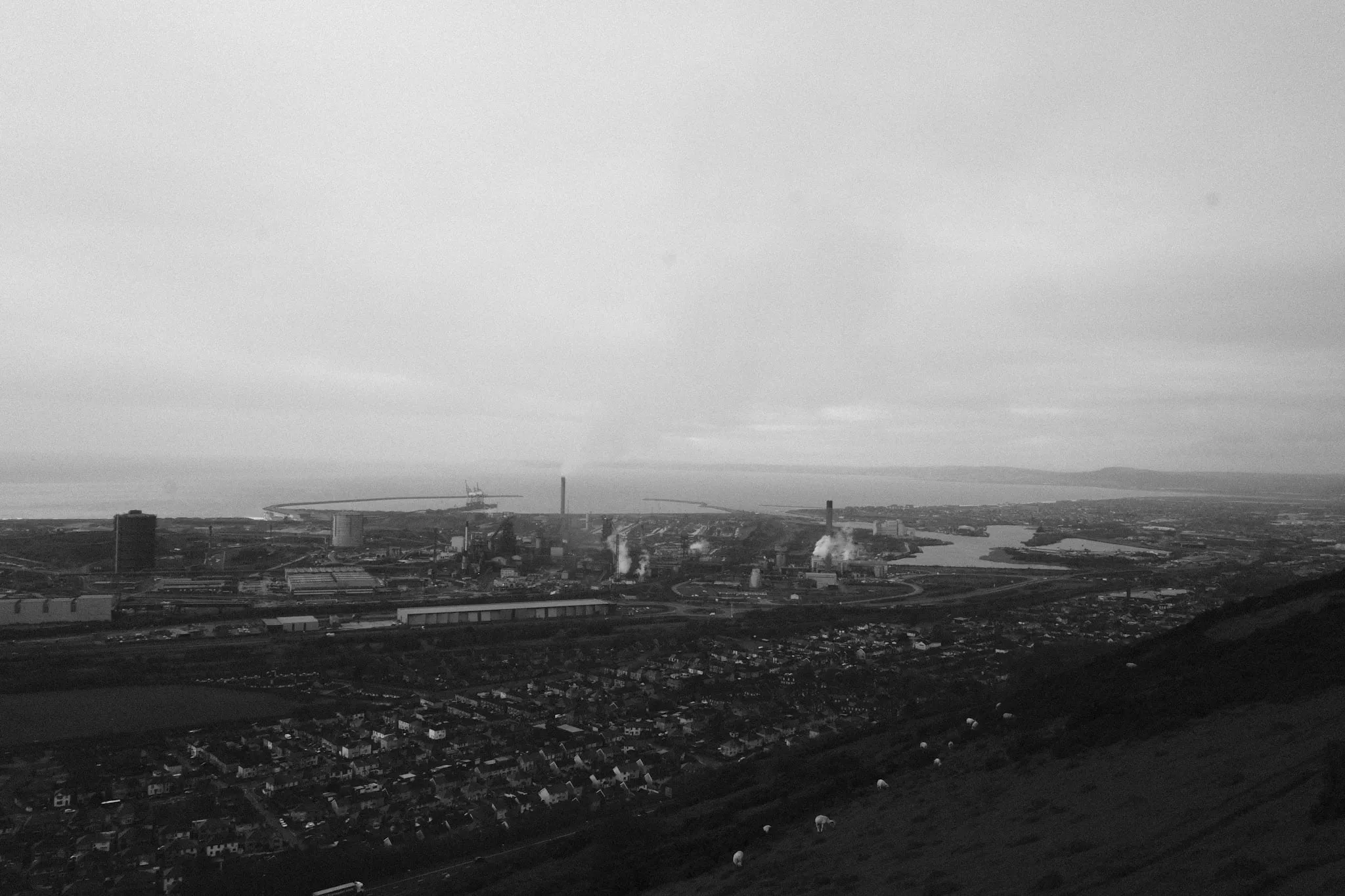 The steelworks and the town seen from high on the hillside above, a blast furnace and chimneys strung along the shore, breakwaters reaching into the sea, terraced streets below and sheep grazing the dark slope in the foreground.