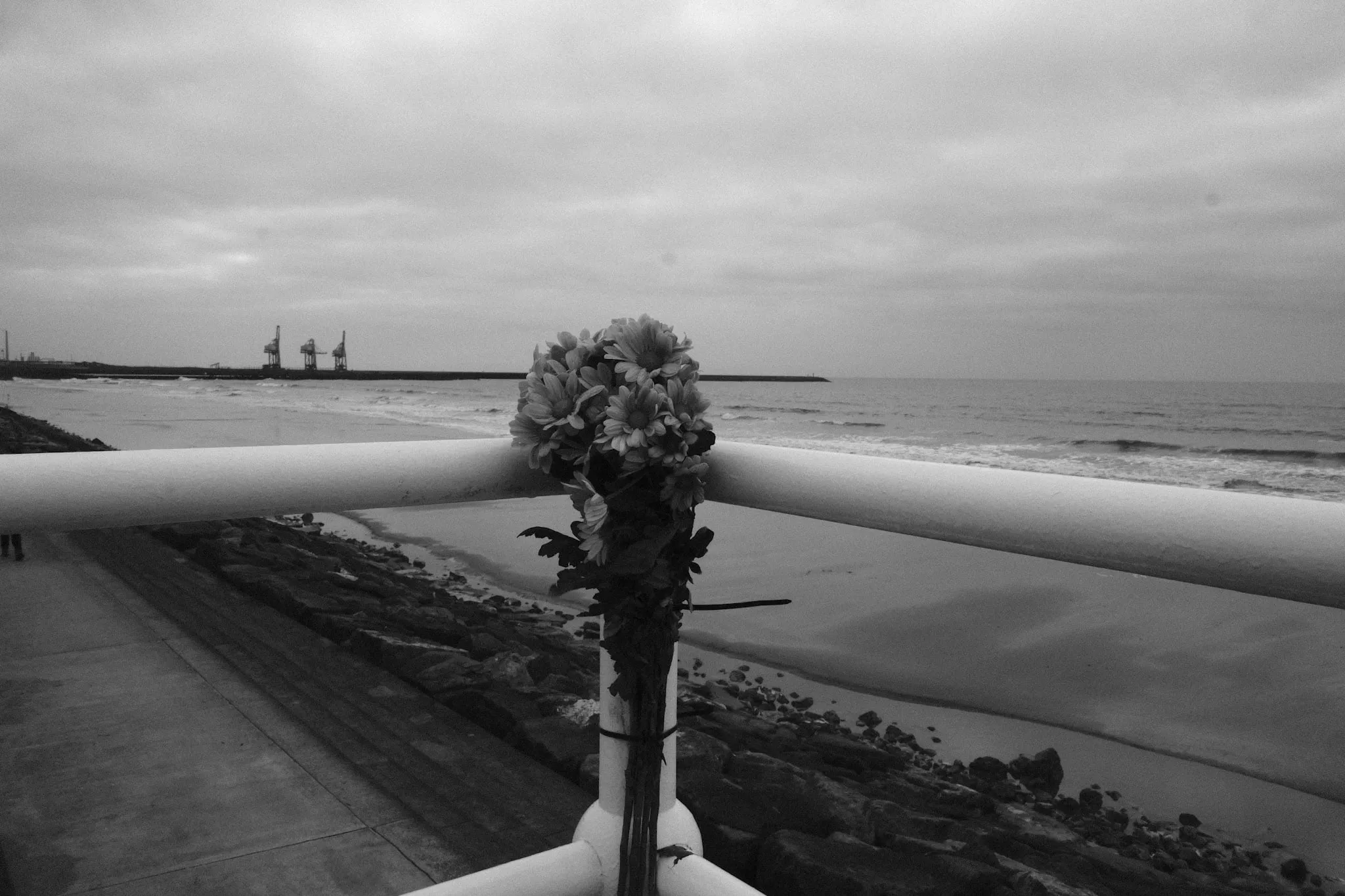 A bunch of flowers tied to a white seafront railing above a rocky beach, the breakwater and dock cranes low on the horizon under heavy cloud.
